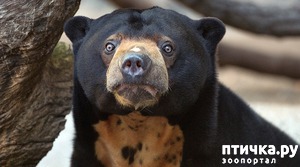 ����: ��������� �������, ��� ���� ������ ��������