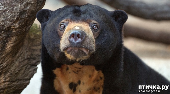 ���� 1: ��������� �������, ��� ���� ������ ��������