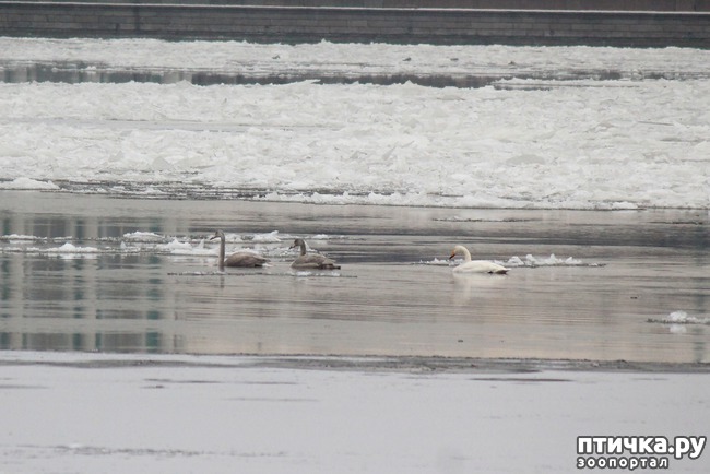 ���� 5: ������ ����� � ������ �� ����