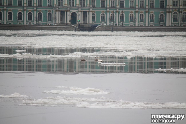 ���� 6: ������ ����� � ������ �� ����