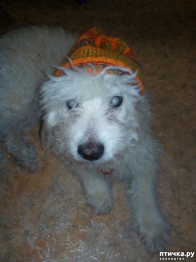 ���� 4: ��� ���� ����. ������ -