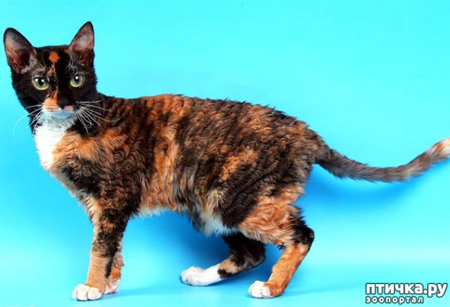 ���� 3: ��������� ����