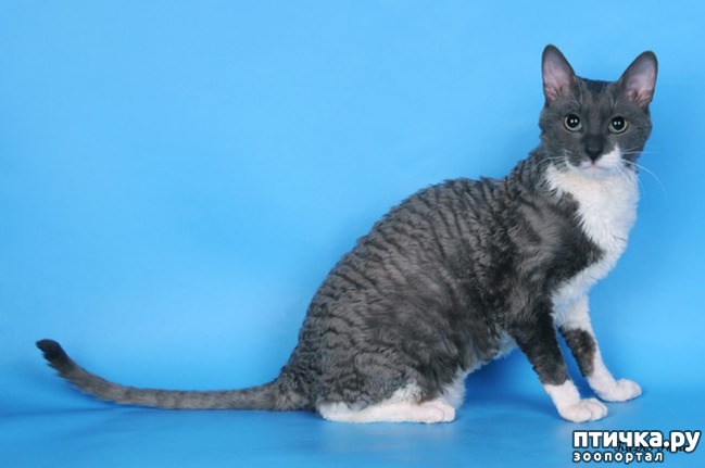 ���� 4: ��������� ����