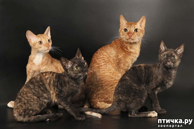 ���� 5: ��������� ����