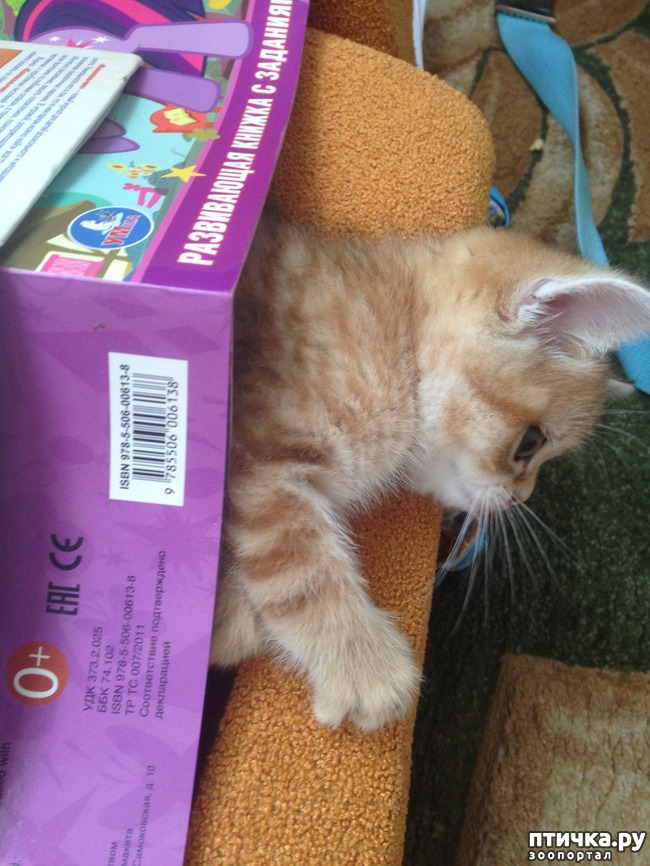 ���� 2: ����������� - ����!