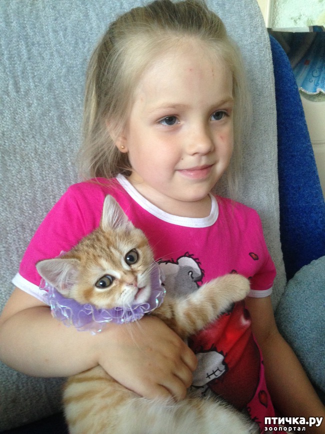 ���� 4: ����������� - ����!