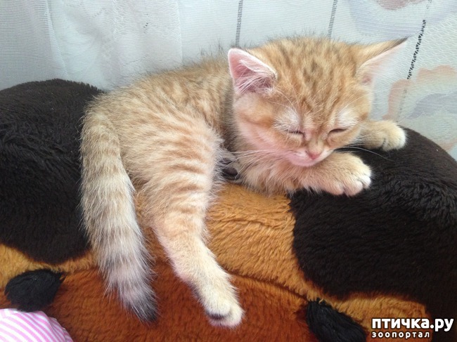 ���� 5: ����������� - ����!