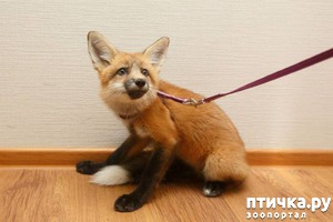 ����: ������� ������ ��� ����� ������, � ������ ����� ����� �����