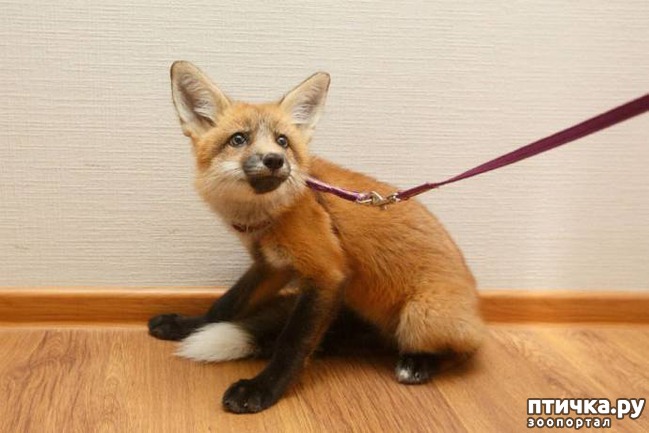 ���� 1: ������� ������ ��� ����� ������, � ������ ����� ����� �����