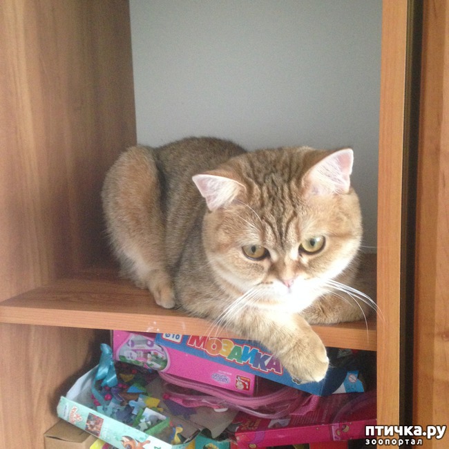 ���� 6: ����������� - ����!