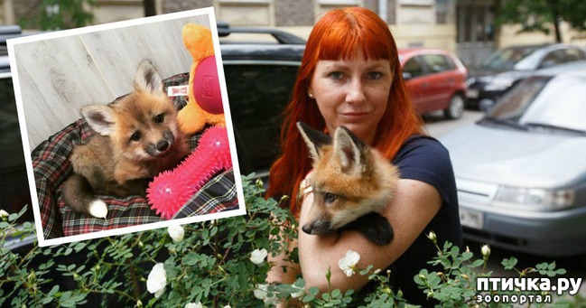 ���� 2: ������� ������ ��� ����� ������, � ������ ����� ����� �����