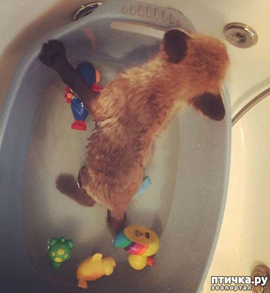 ���� 3: ������� ������ ��� ����� ������, � ������ ����� ����� �����