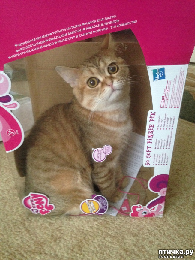 ���� 7: ����������� - ����!