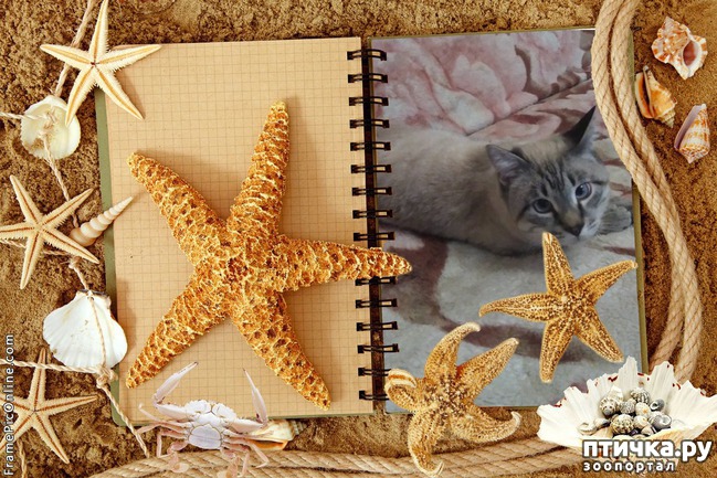 ���� 3: ������� ���� ��������. ����� I ����������