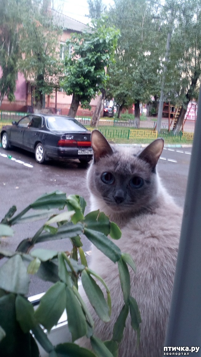 ���� 3: ��� ���� ����. ������ -