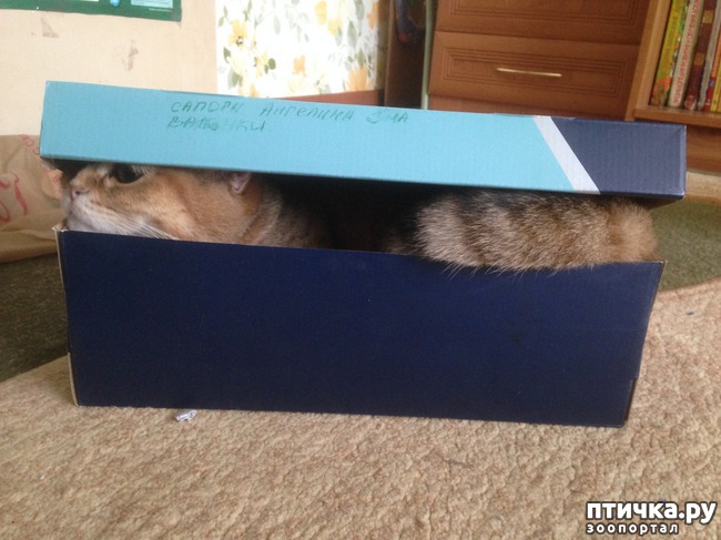 ���� 8: ����������� - ����!