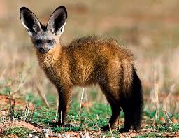 ����: ���������� ������