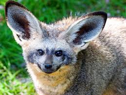 ���� 2: ���������� ������