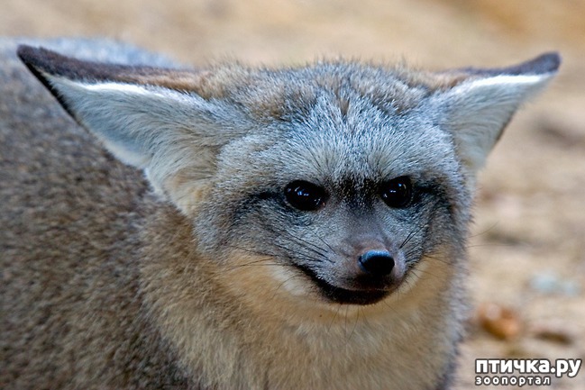 ���� 4: ���������� ������