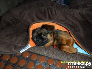 ����: �����������...