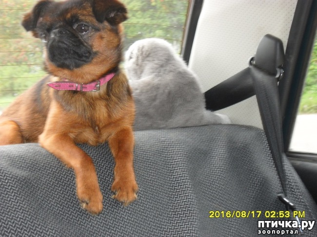 ���� 2: �����������...