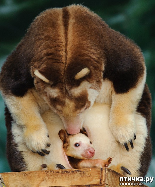 ���� 2: ��������� �������.