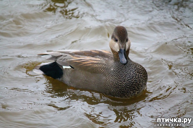 ���� 2: ������ ����� � ������ �� ����