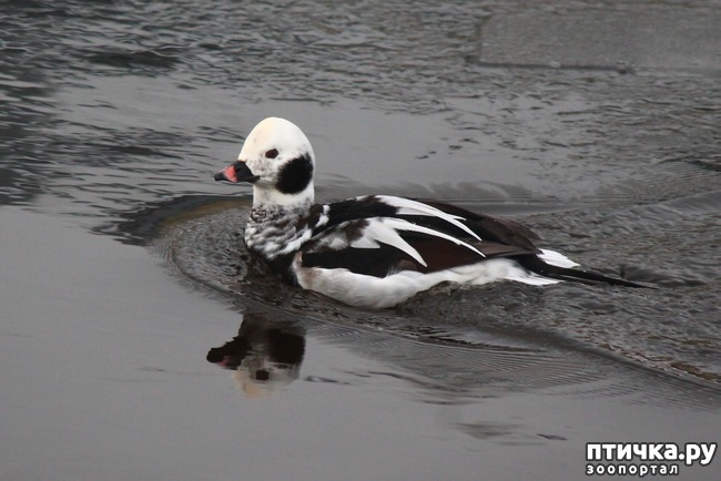 ���� 3: ������ ����� � ������ �� ����