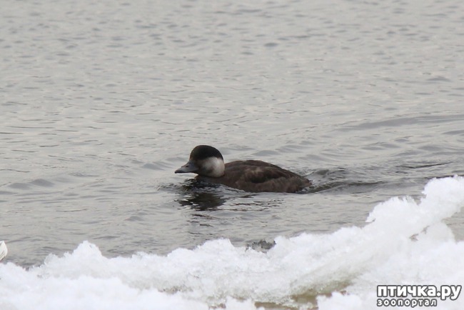 ���� 4: ������ ����� � ������ �� ����