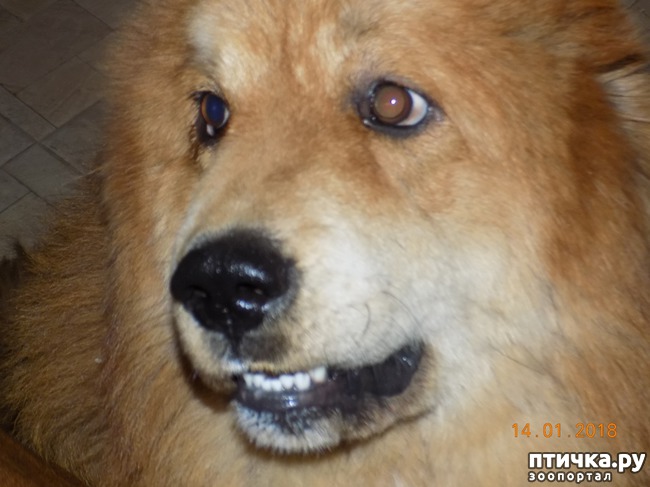 ���� 14: ����������, ���������