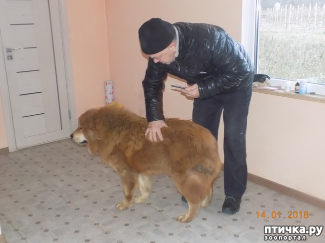 ���� 15: ����������, ���������