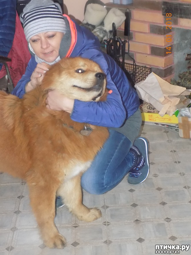 ���� 16: ����������, ���������