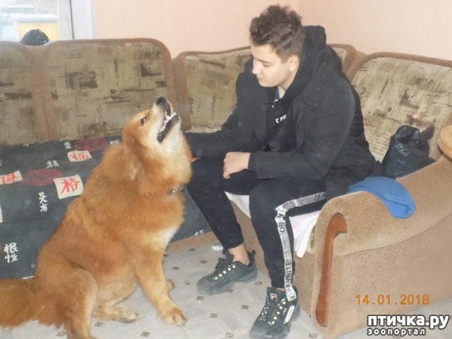 ���� 17: ����������, ���������