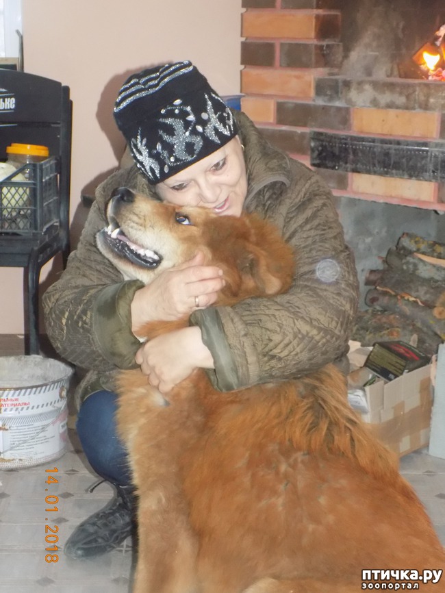 ���� 18: ����������, ���������