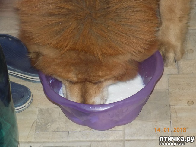 ���� 20: ����������, ���������