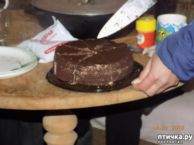 ���� 21: ����������, ���������