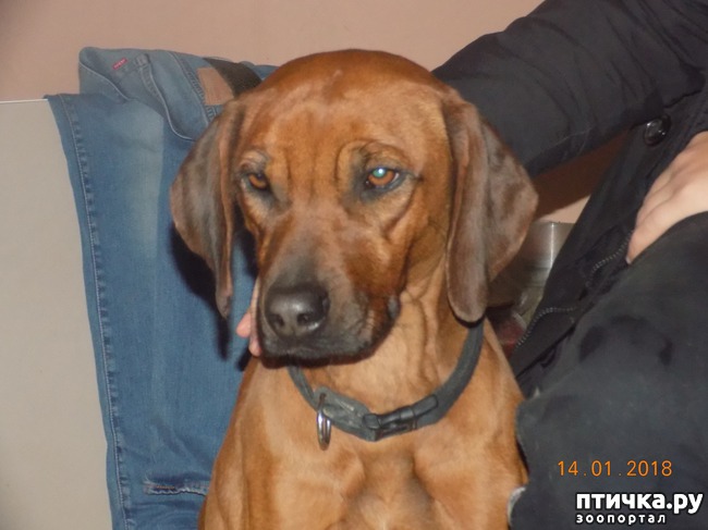 ���� 22: ����������, ���������