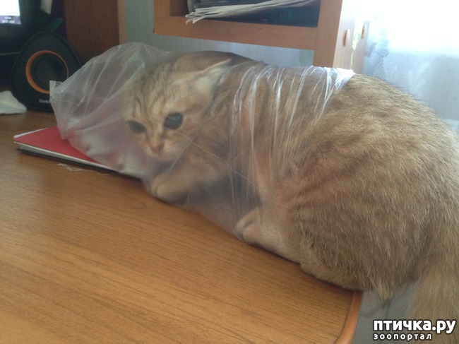 ���� 9: ����������� - ����!