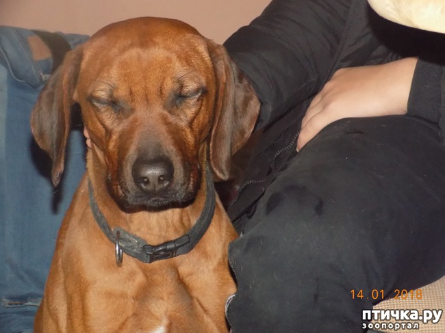 ���� 26: ����������, ���������