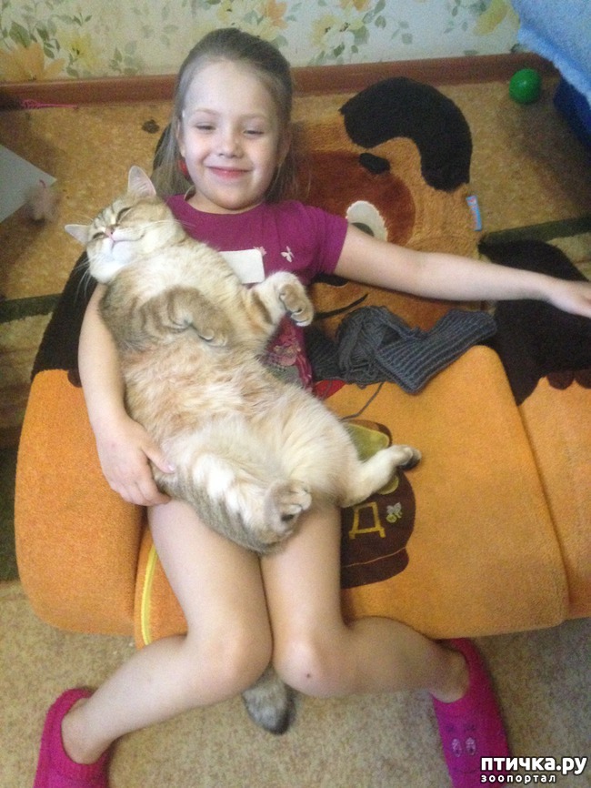 ���� 13: ����������� - ����!