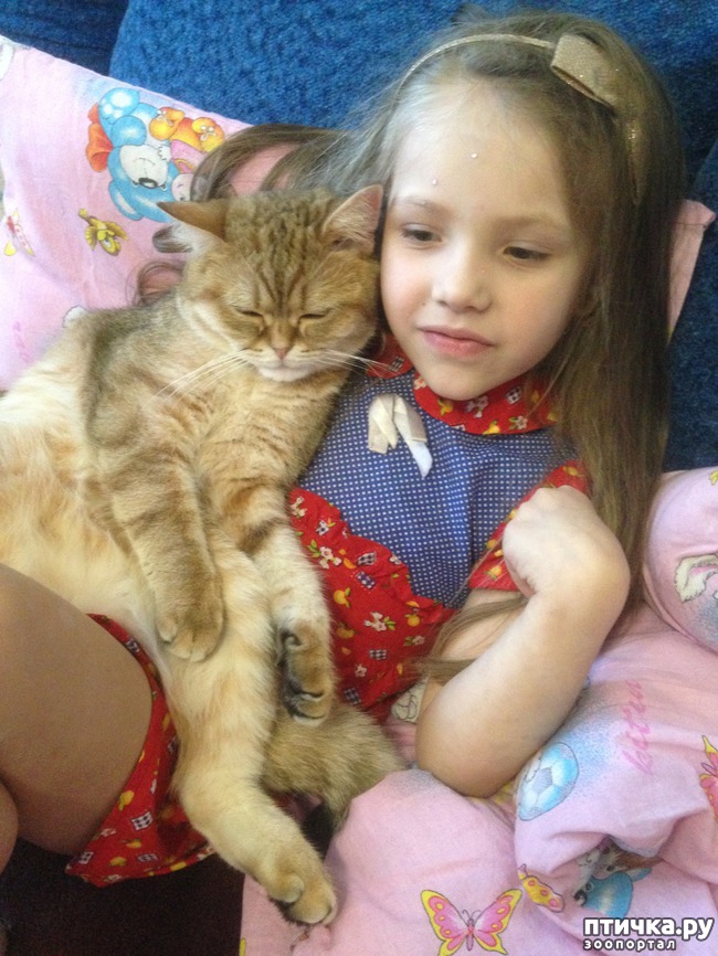 ���� 16: ����������� - ����!