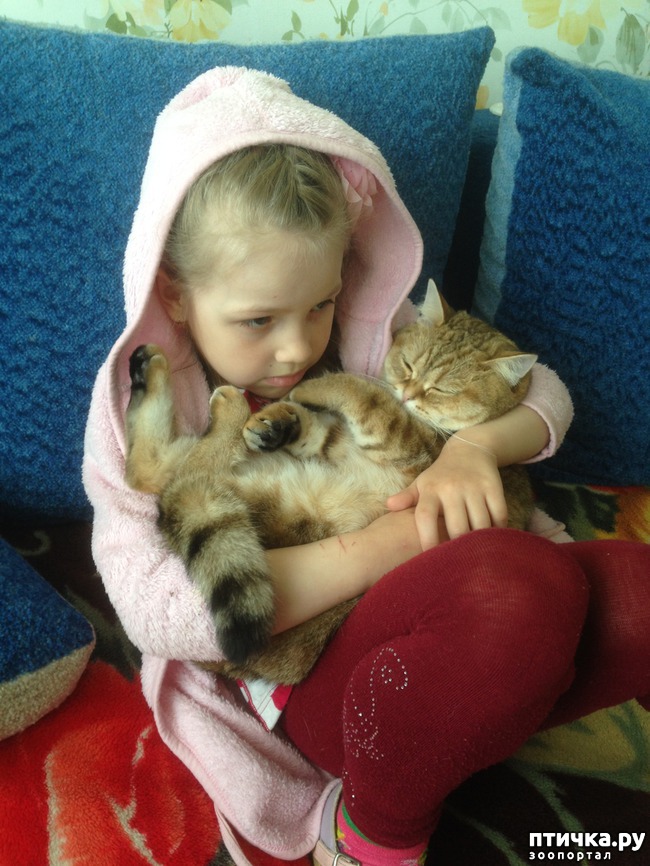 ���� 17: ����������� - ����!