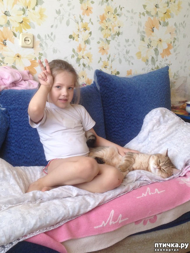 ���� 18: ����������� - ����!