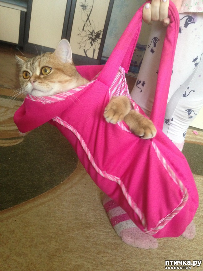 ���� 15: ����������� - ����!