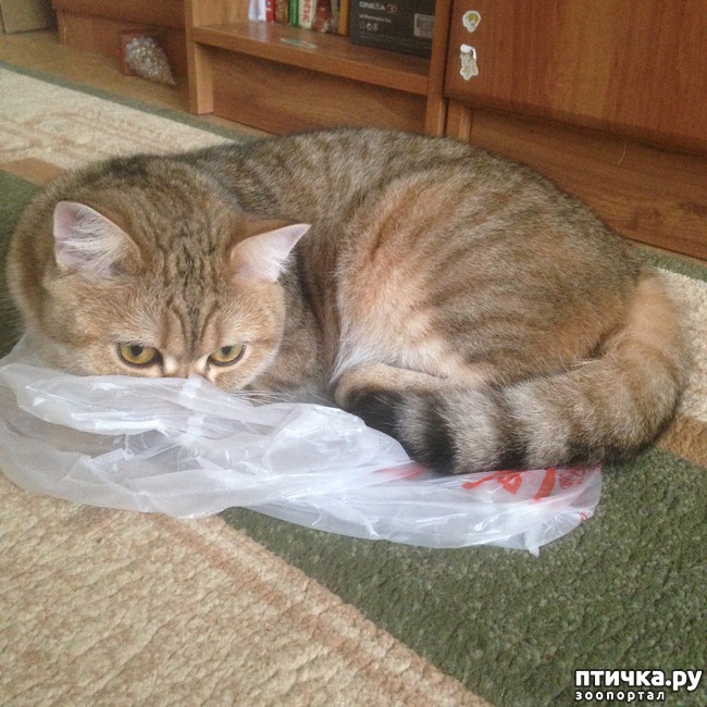 ���� 10: ����������� - ����!