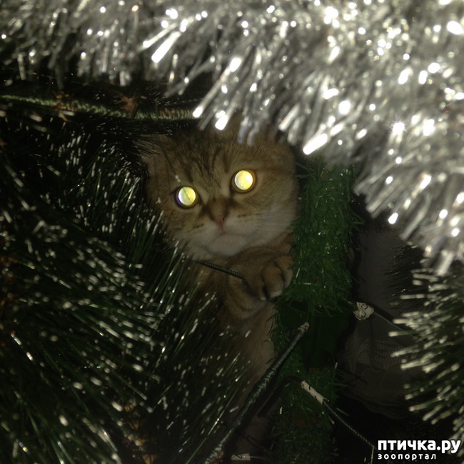 ���� 12: ����������� - ����!