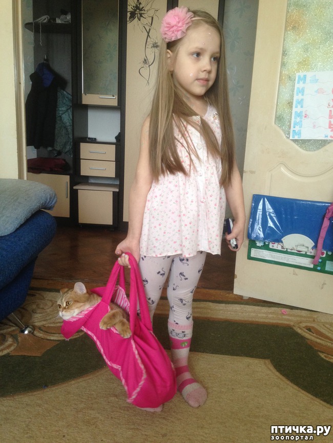 ���� 14: ����������� - ����!