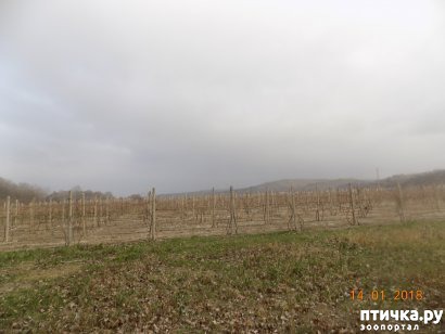 ���� 27: ����������, ���������