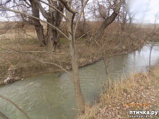 ���� 28: ����������, ���������