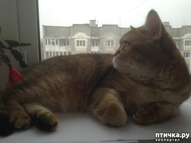 ���� 19: ����������� - ����!